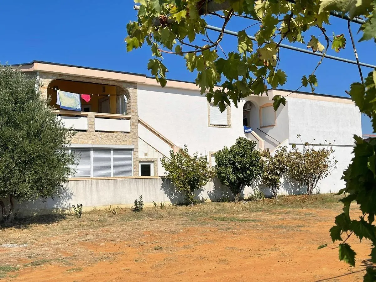 Apartment Apartements Delfin Vir Kroatien